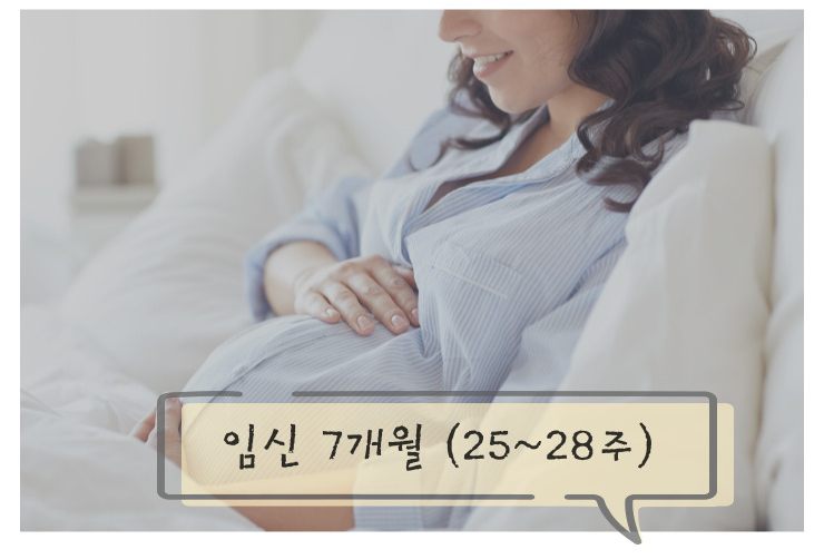 화도중기 이미지