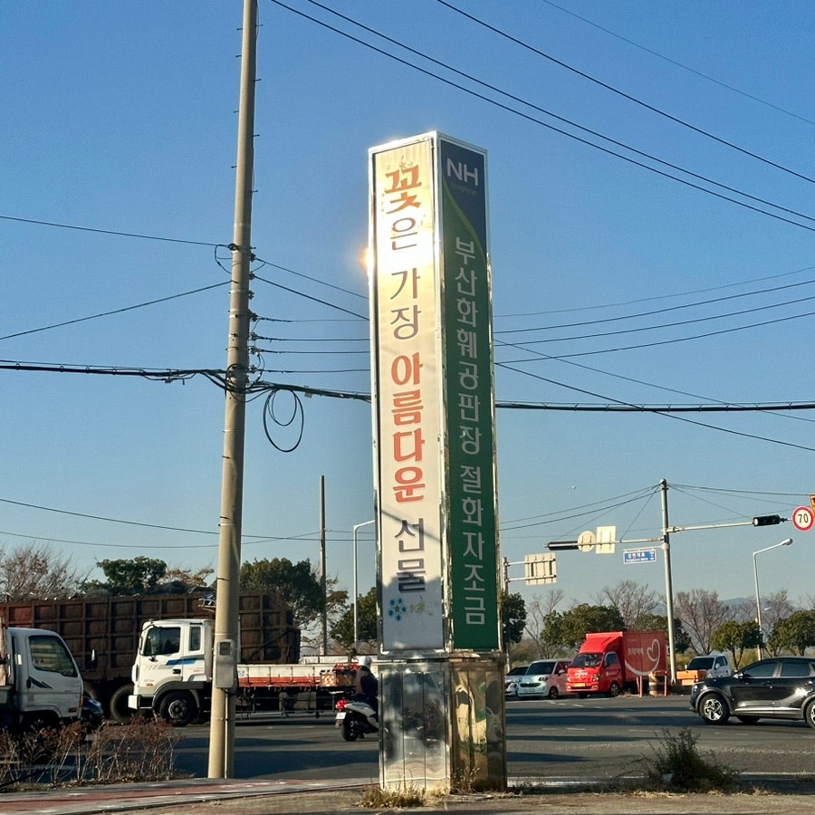 시장꽃도소매 이미지