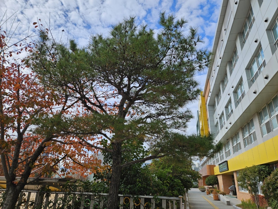 (주)푸른숲조경 이미지