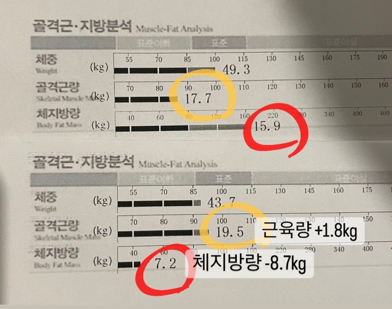 디엠짐 이미지