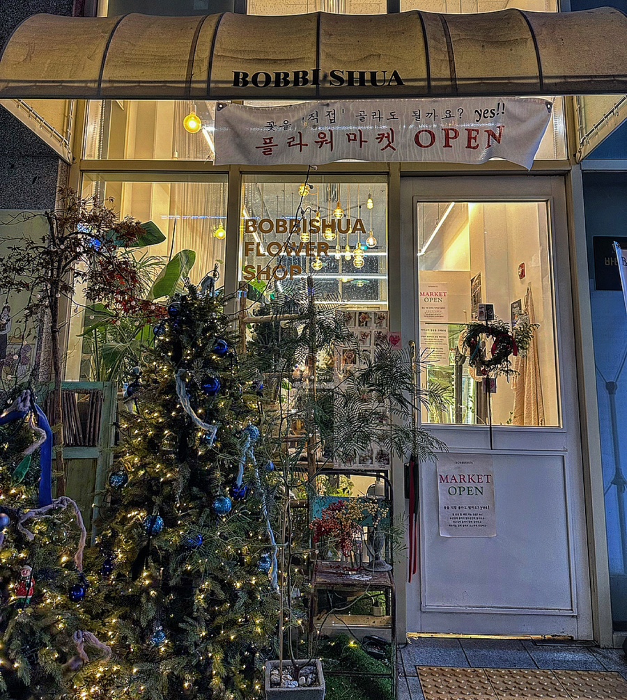 바비슈아 이미지