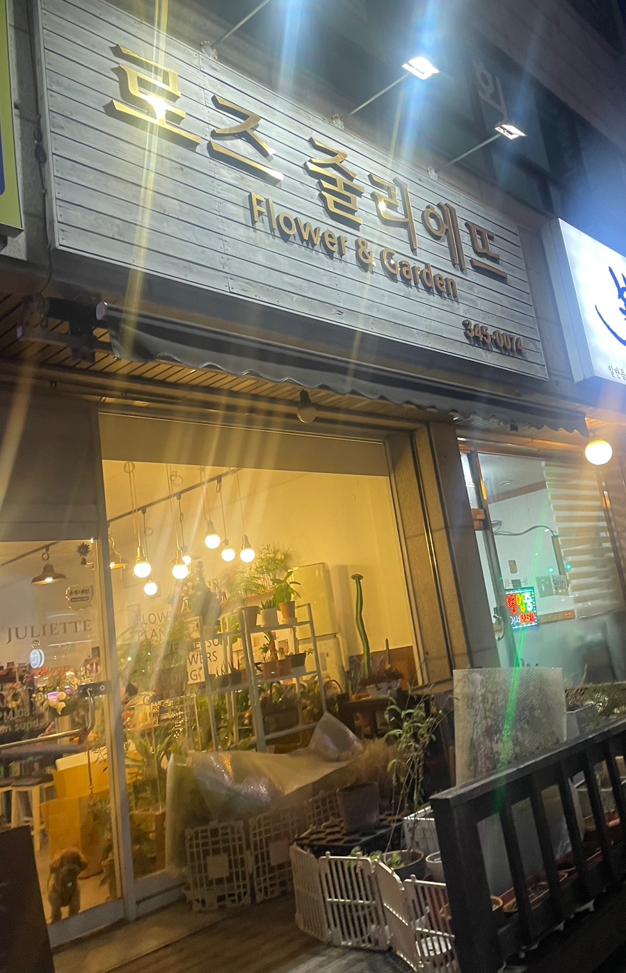 갈마꽃집 이미지
