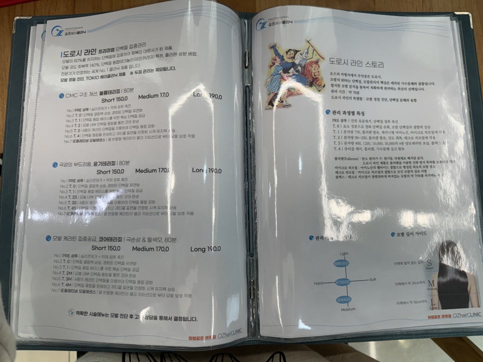도로시헤어라인 이미지