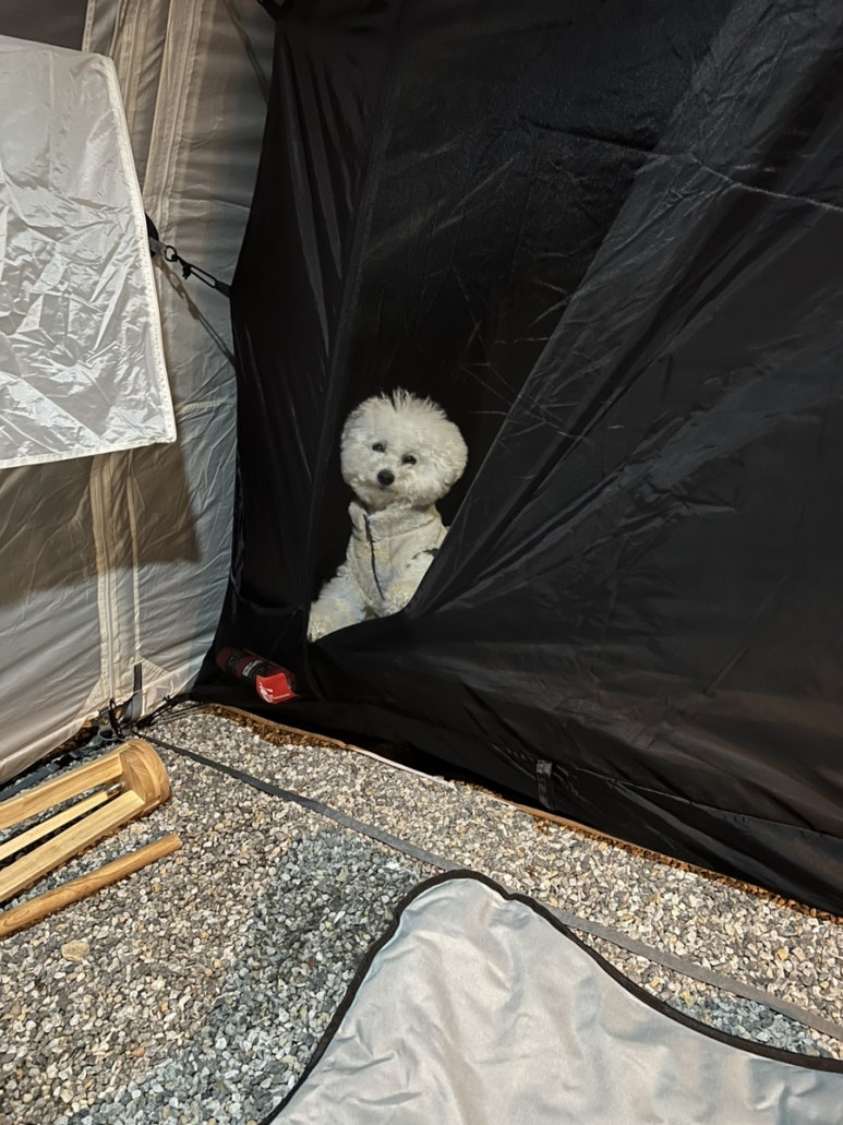 헤이;칠러 이미지
