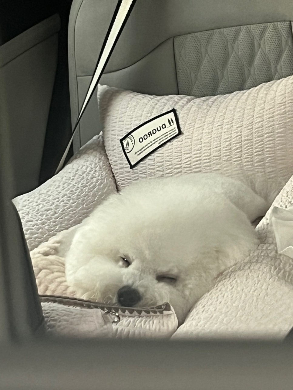 레몬펜션 이미지