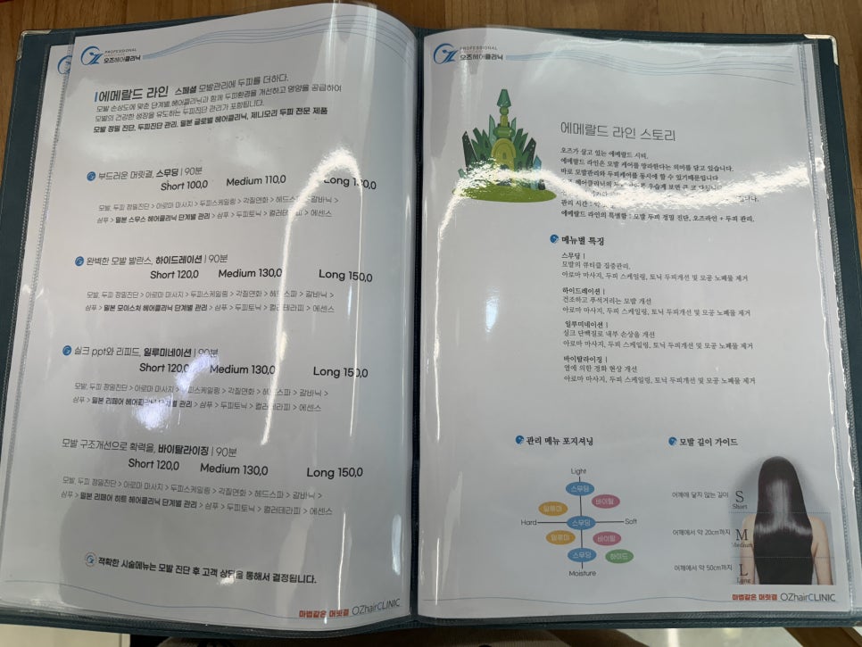 도로시헤어라인 이미지