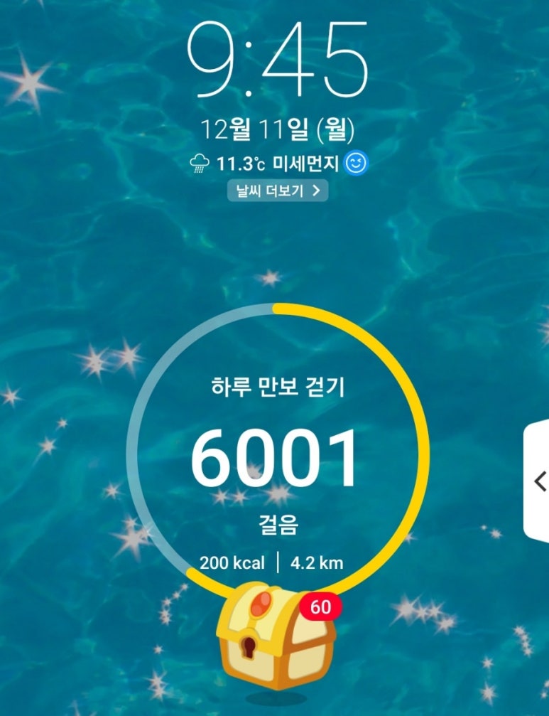 샐포시 이미지