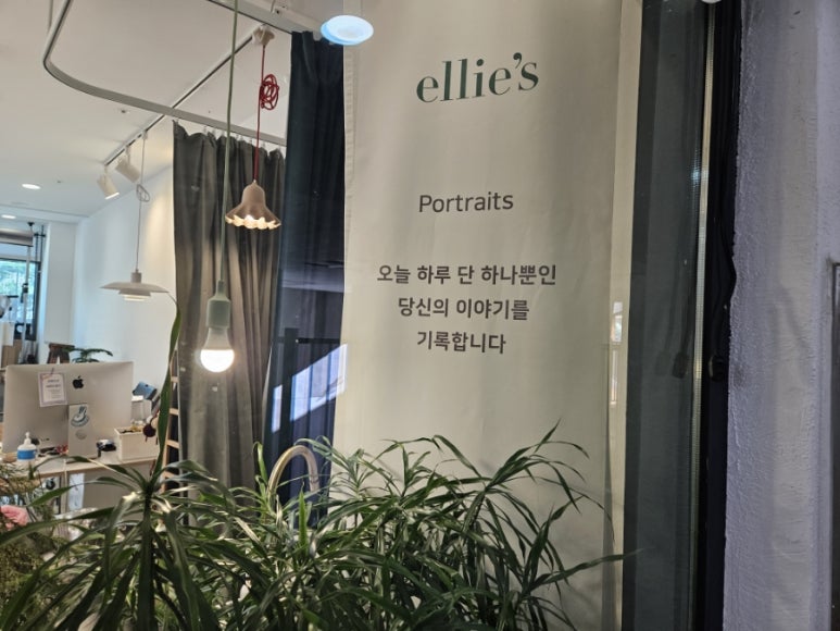 스튜디오패럿 이미지