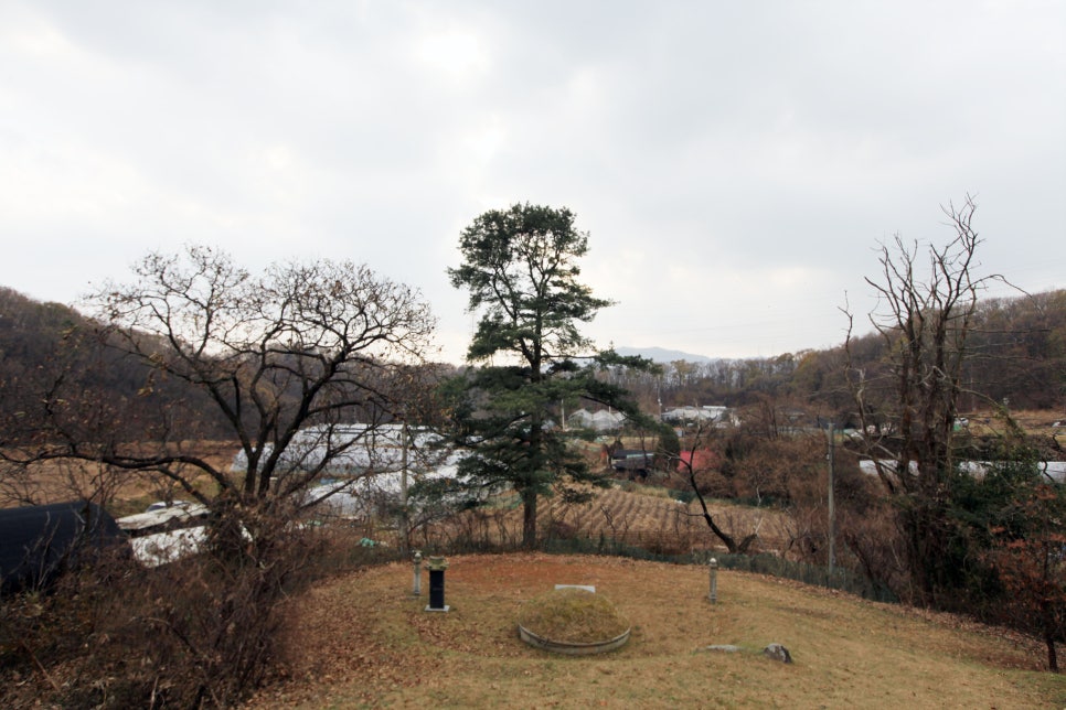 오달행 이미지