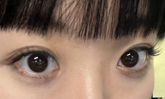 래쉬87 이미지