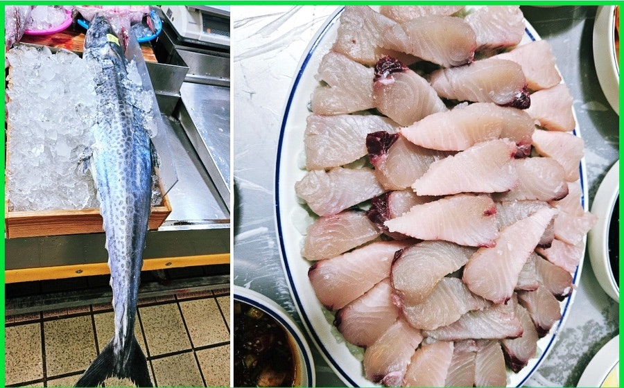 수지맛다 이미지