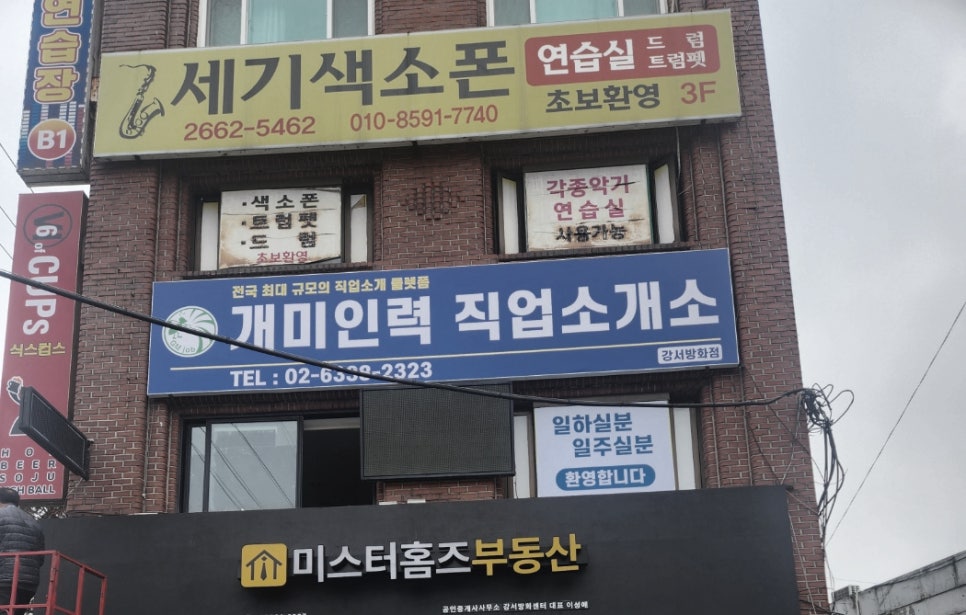 개미인력직업소개소 이미지