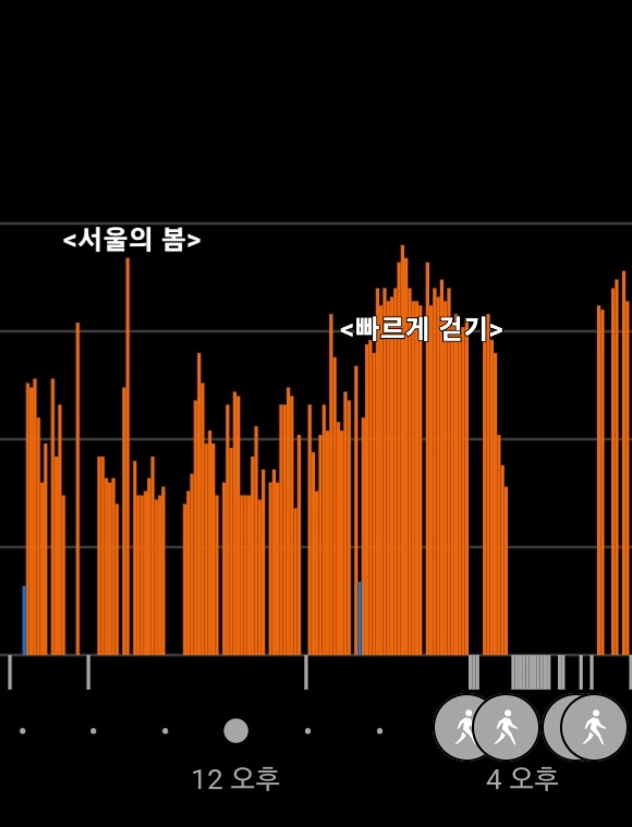 서울인마이백 이미지