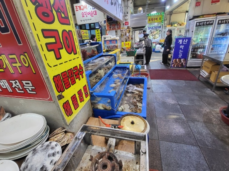 모자가리비 이미지