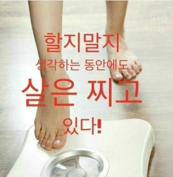 굿데이점핑 이미지