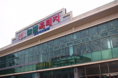 돼지홀릭 이미지