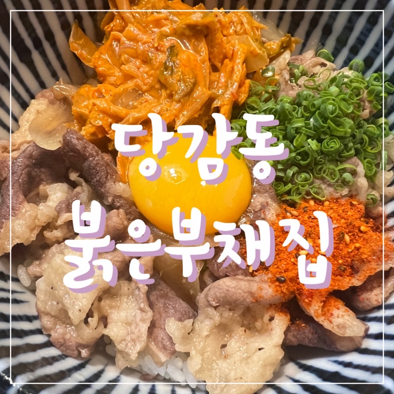 붉은부채집 이미지