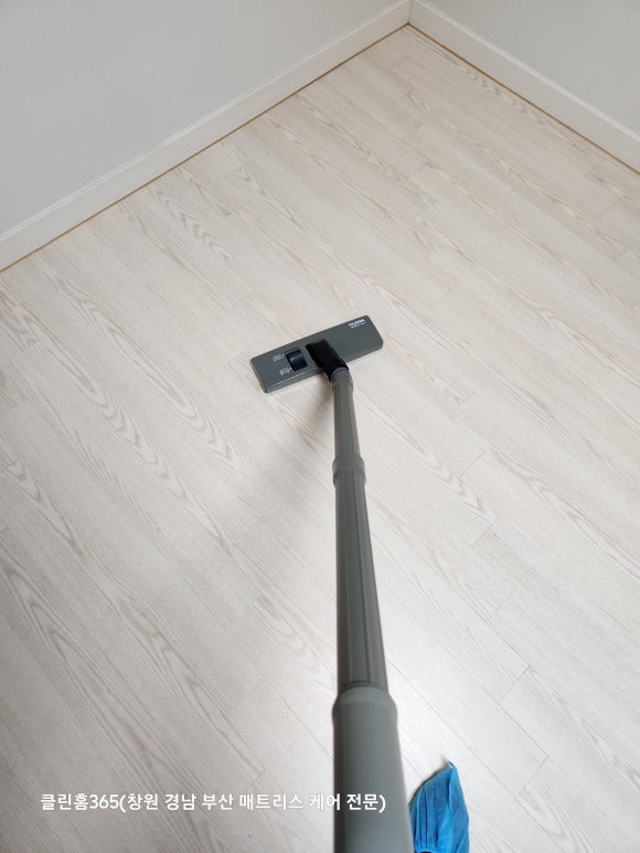 홈클린365 이미지