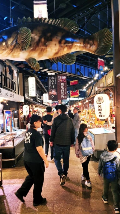 참치랜드 이미지