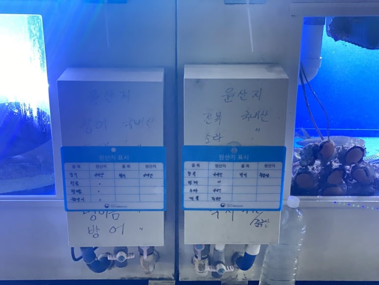 아란어가 이미지