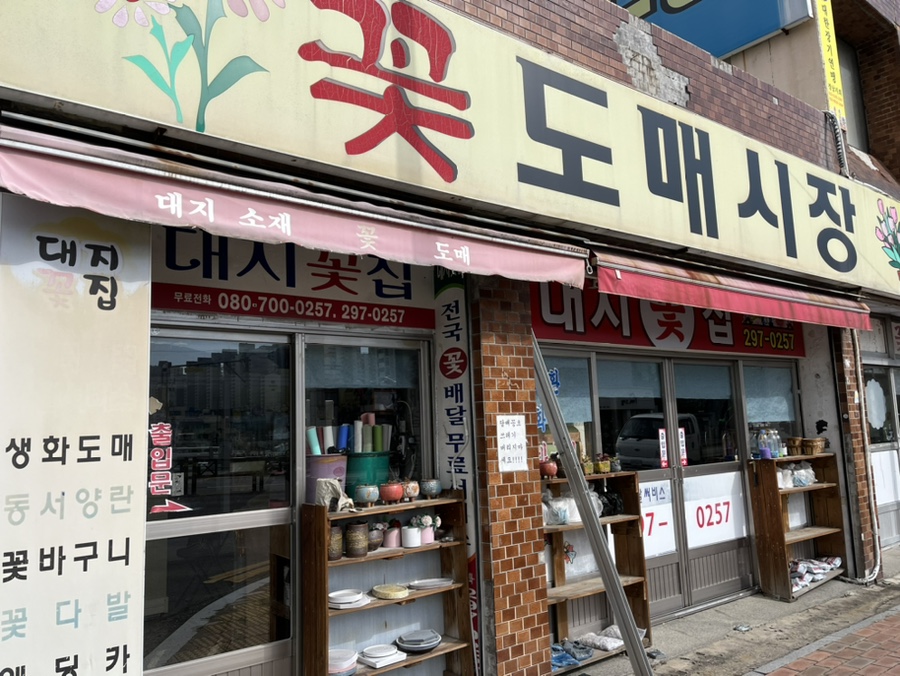 대지꽃집 이미지