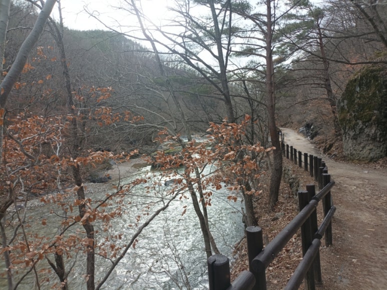 주왕산농원식당 이미지
