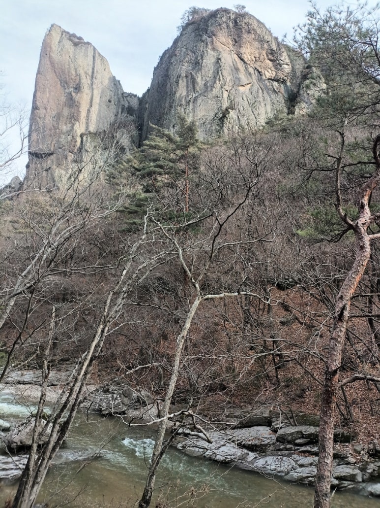 주왕산농원식당 이미지