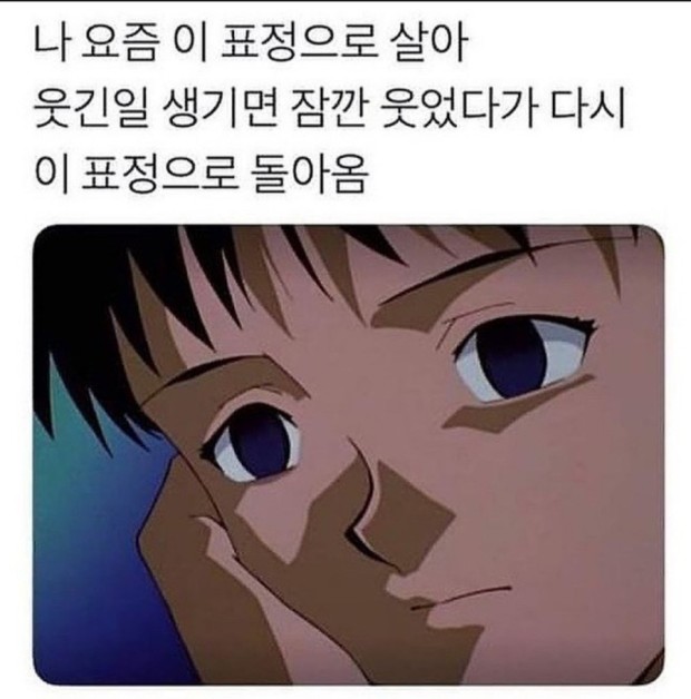 대게조아 이미지