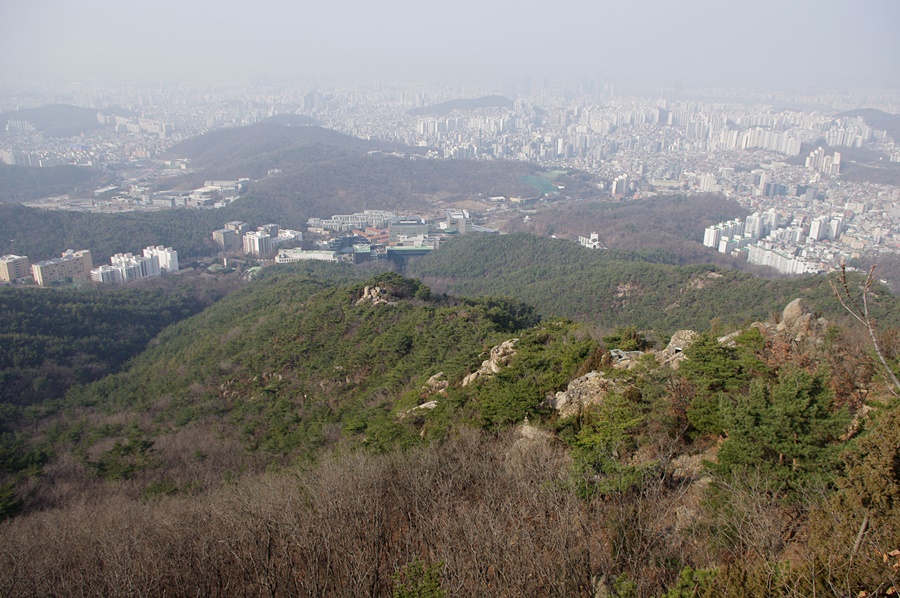 코웨이상록 이미지
