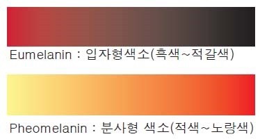 스너그 이미지