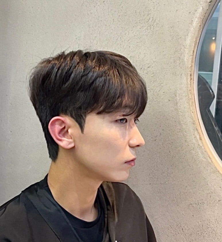 헤어일리 이미지