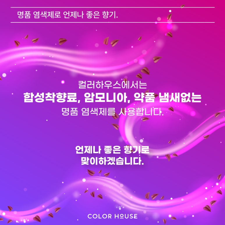 컬러하우스 이미지