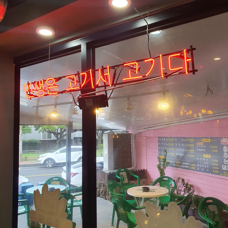 춤추는돼지 이미지