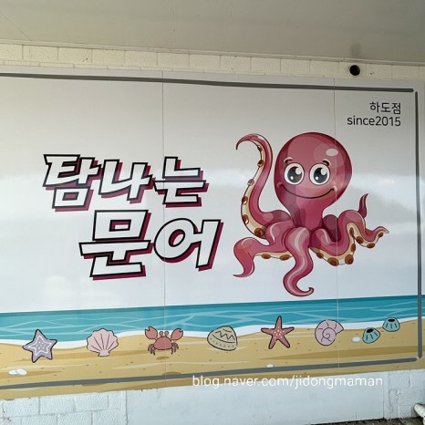 형제문어 이미지