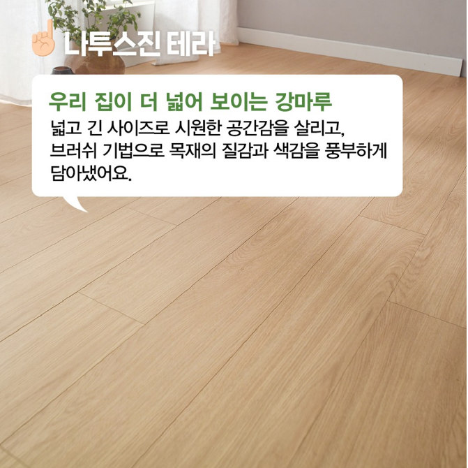 테라화성 이미지