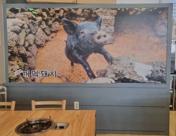 고씨네꺼먹돼지 이미지