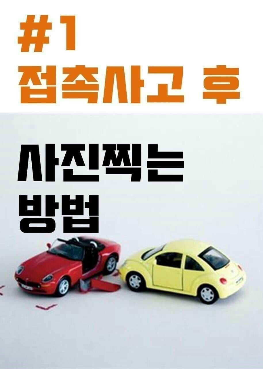 대승농장 이미지