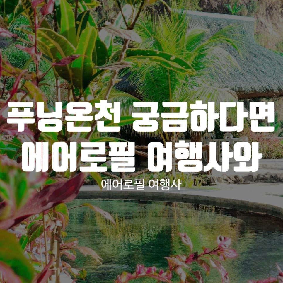 에어로필여행사 이미지