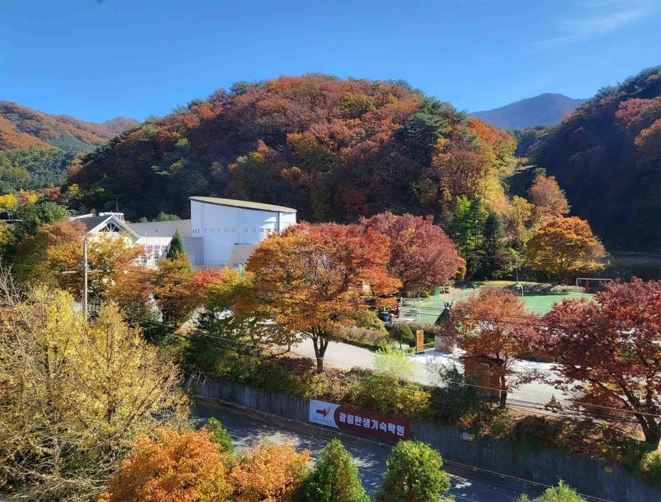 아워홈광릉한샘기숙학원 이미지