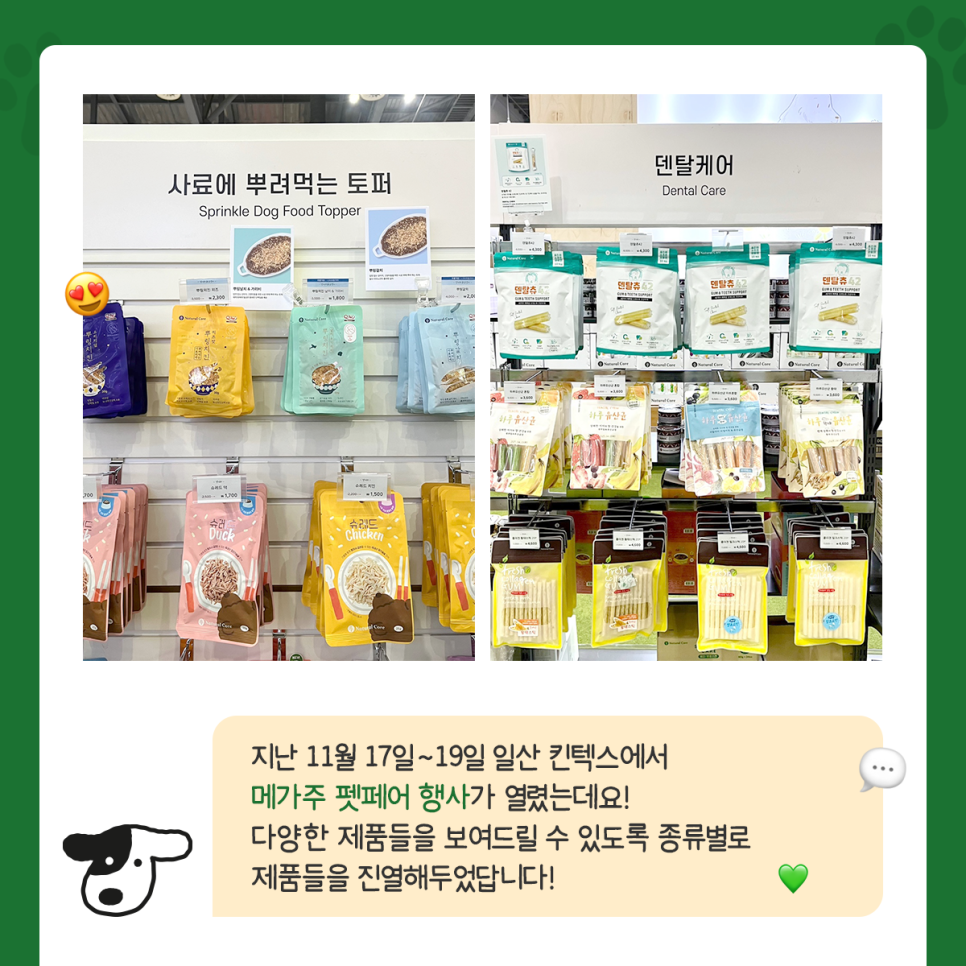 네코주 이미지