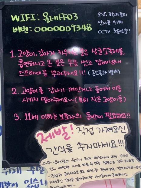 냥다방 이미지
