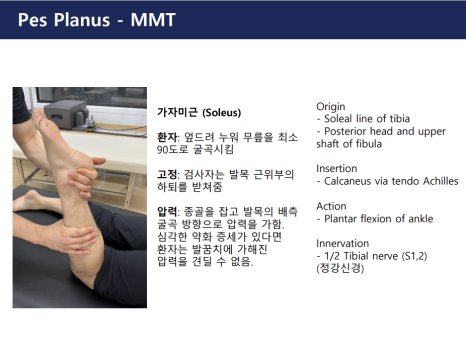 포그로스 이미지