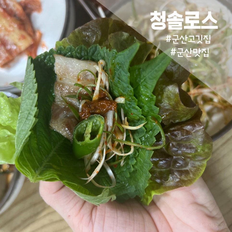청솔로스 이미지