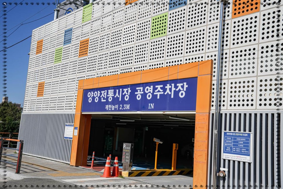 양양놀자 이미지