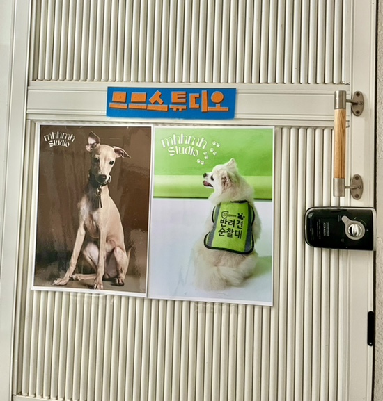 므므스튜디오 이미지