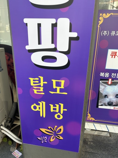 큐사랑일산 이미지