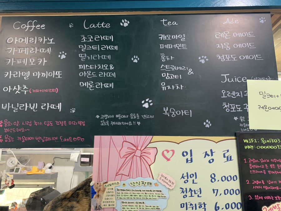 냥다방 이미지