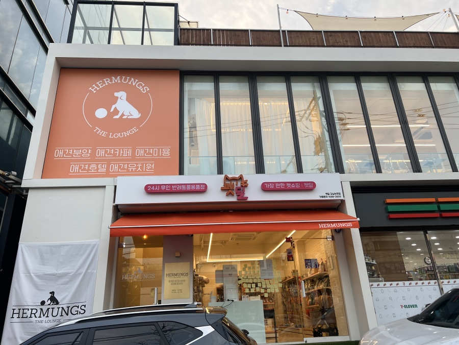 강남 애견카페 에르멍스더라운지 루프탑 운동장 후기 — 사진 2