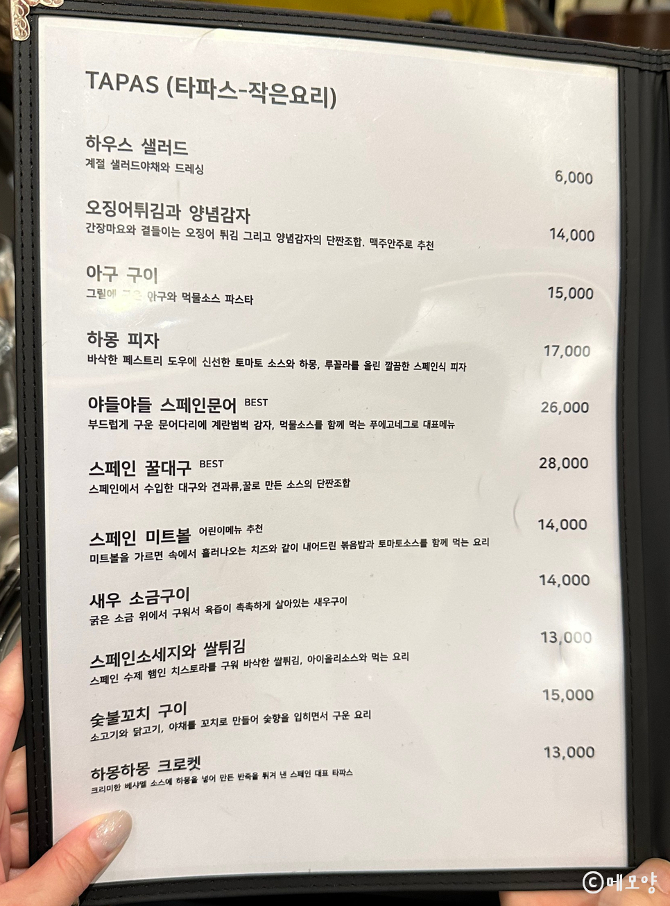 푸에고네그로 이미지