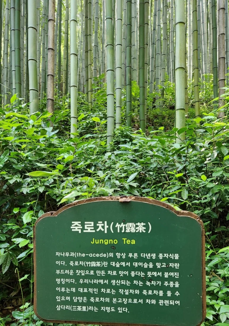 담양대숲다원 이미지